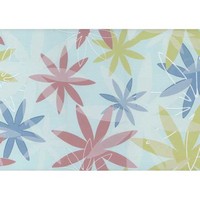 Inserto Glass 32.5x65.6 cm Inserto Glass 32.5x65.6 cm